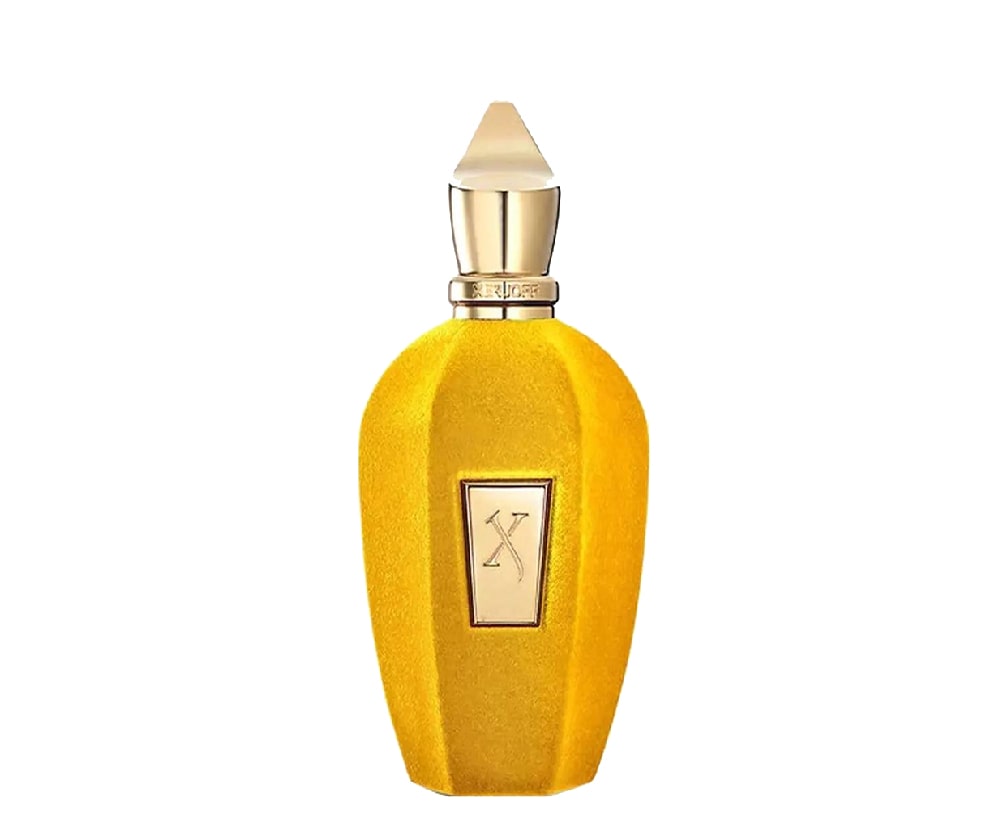 XERJOFF Erba Gold 100ml Unisex Tester